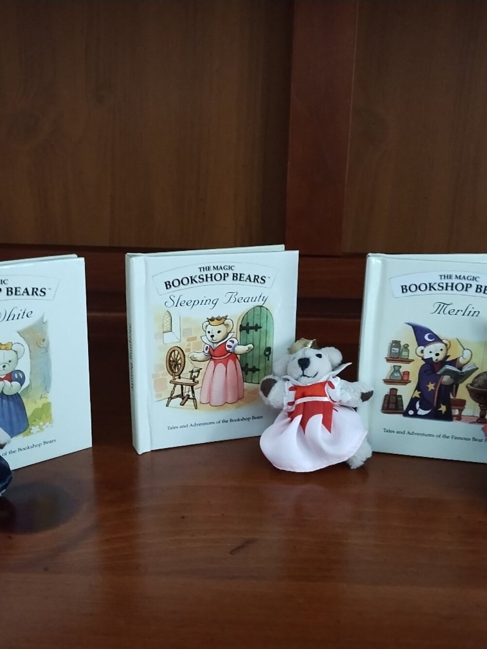 The Magic Bookshop Bears